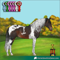 Horse Color:Brown Tobiano 