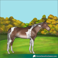 Horse Color:Liver Chestnut Mushroom Tobiano 