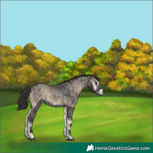 Horse Color:White Spotted Smoky Blue Onyx Ice 