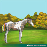 Horse Color:Painted Plaid Silver Black Sabino Tobiano