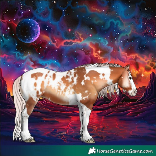 Horse Color:White Spotted Silver Bay Onyx Splash Tobiano Blanket 