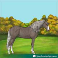 Horse Color:Silver Black 