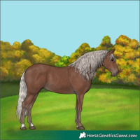 Horse Color:Silver Black 