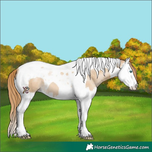Horse Color:Black Snowdrop Pearl Splash Tobiano 
