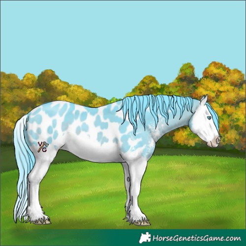 Horse Color:Watercolor Brown Sabino Splash Near Leopard 