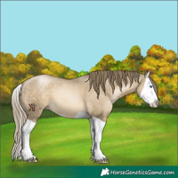 Horse Color:Smoky Black Pearl Splash 