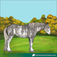 Horse Color:Silver Smoky Black Sabino