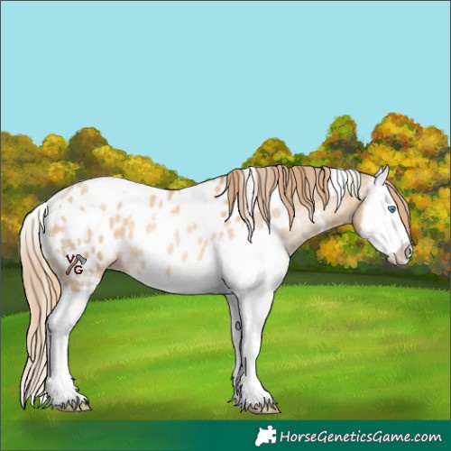Horse Color:White Spotted Buckskin Pearl Sabino Splash Blanket 