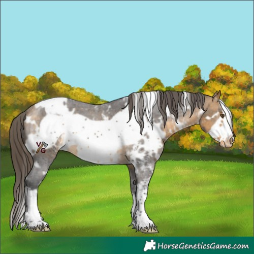 Horse Color:White Spotted Buckskin Sabino Frame Varnish 