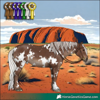 Horse Color:White Spotted Silver Black