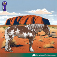 Horse Color:White Spotted Silver Black