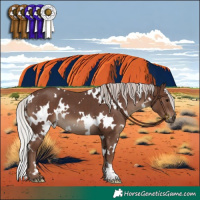 Horse Color:White Spotted Silver Black 