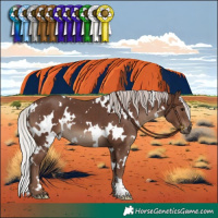 Horse Color:White Spotted Silver Black 