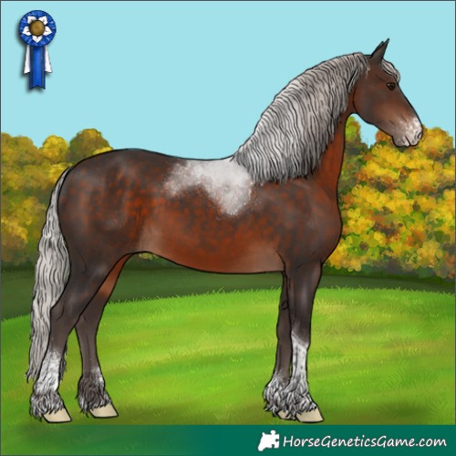 Horse Color:Silver Brown Sabino Tobiano 