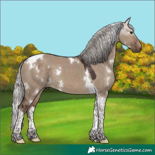 Horse Color:White Spotted Silver Brown Dun Tobiano 