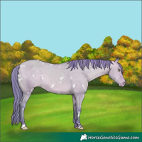 Horse Color:Watercolor White Spotted Amber Champagne Dun Varnish 