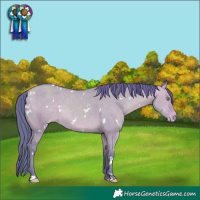 Horse Color:Watercolor White Spotted Amber Champagne Dun Varnish 