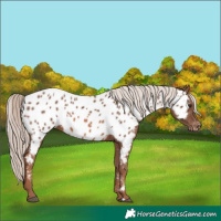 Horse Color:Chestnut Mushroom Near Leopard