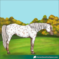 Horse Color:Chestnut Mushroom Near Leopard