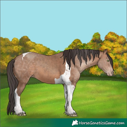 Horse Color:Sable Champagne Tobiano 