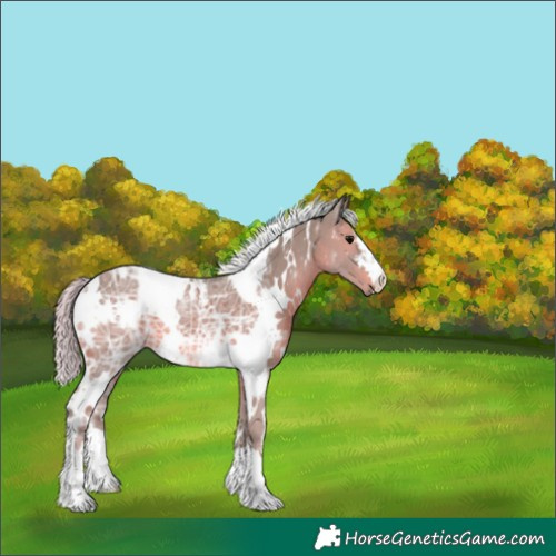 Horse Color:Watercolor White Spotted Silver Black Ice 
