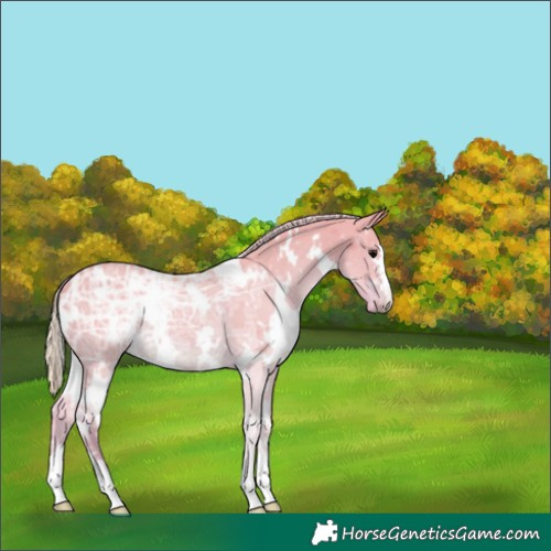 Horse Color:Watercolor White Spotted Silver Black Ice 