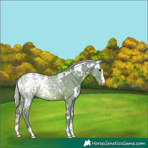 Horse Color:Watercolor White Spotted Silver Black Ice 