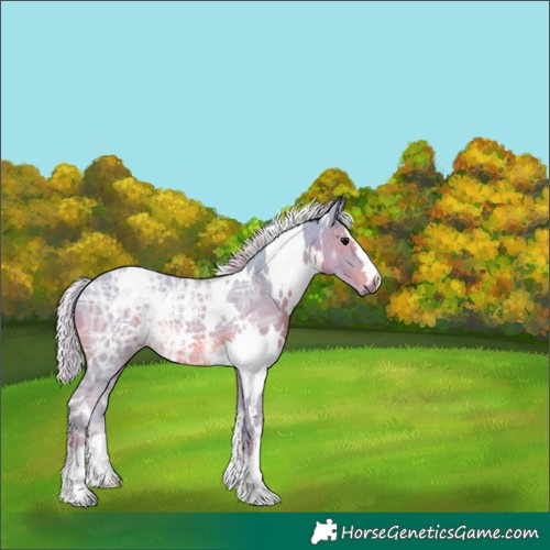 Horse Color:Watercolor White Spotted Silver Black Ice 