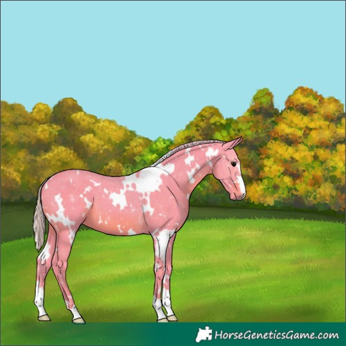 Horse Color:Watercolor White Spotted Silver Black 