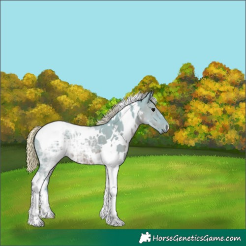 Horse Color:Watercolor White Spotted Silver Black Ice Tobiano 