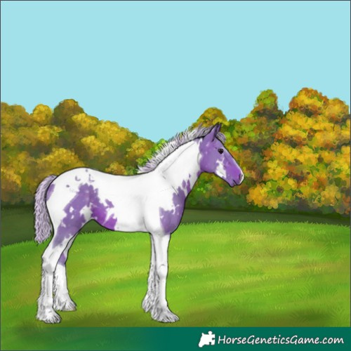 Horse Color:Watercolor White Spotted Silver Brown Tobiano 