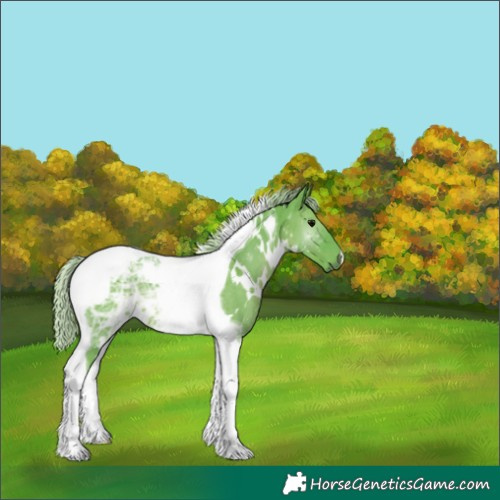 Horse Color:Watercolor White Spotted Silver Black Ice Tobiano 