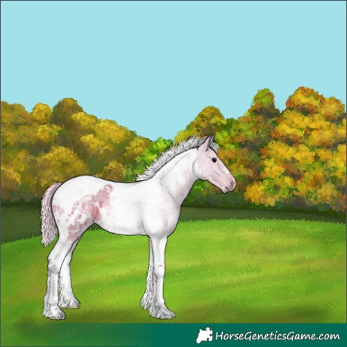 Horse Color:Watercolor White Spotted Silver Black Ice Tobiano 