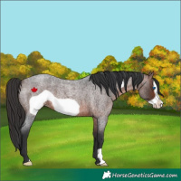 Horse Color:Brown Roan Frame