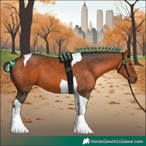 Horse Color:Bay Tobiano 