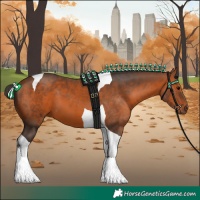Horse Color:Bay Tobiano 