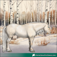 Horse Color:White Spotted Silver Buckskin Pearl Dun