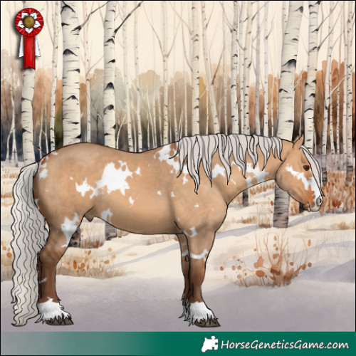 Horse Color:White Spotted Silver Bay Dun 