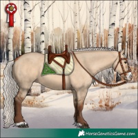Horse Color:Silver Bay Dun Sabino