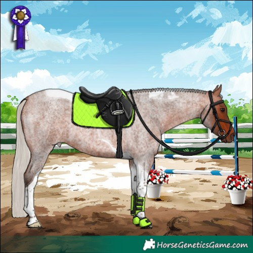 Horse Color:Silver Bay Roan Tobiano 