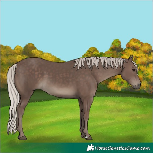 Horse Color:Silver Black 