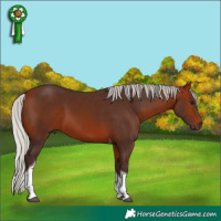 Horse Color:Silver Bay Tobiano