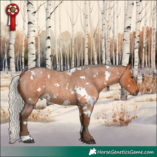 Horse Color:White Spotted Silver Bay Roan 