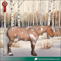 Horse Color:White Spotted Silver Bay Roan