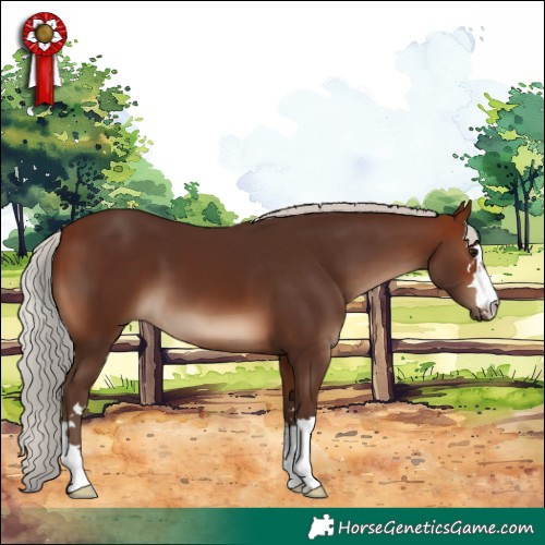 Horse Color:Silver Brown 