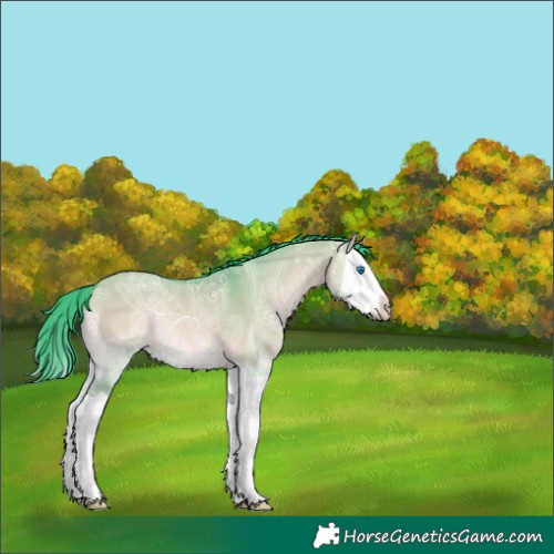 Horse Color:Watercolor Brown Ice Onyx Splash 