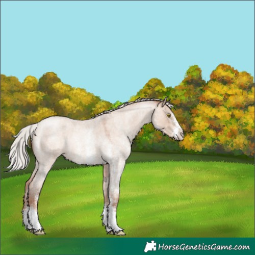 Horse Color:Silver Sable Champagne Roan Dun Sabino 