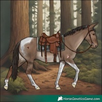 Horse Color:Liver Red Dun Tobiano Rabicano
