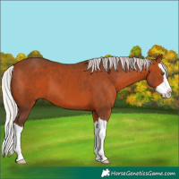 Horse Color:Silver Brown Splash 