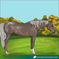 Horse Color:Silver Black 